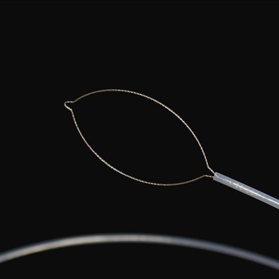 Jaw daşary ýurt bedenterbiýe tarapy