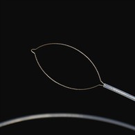 Jaw daşary ýurt bedenterbiýe tarapy